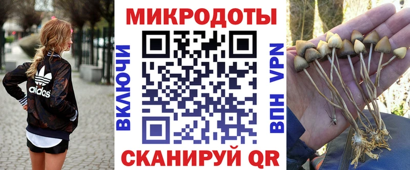 Галлюциногенные грибы Cubensis  Мглин 